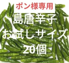 ポン様専用　無農薬　島唐辛子　青唐辛子　20個　お試しのサムネイル