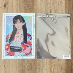 Item thumbnail for item 378d4f6d-c461-478b-bc48-5c9105abb1e1