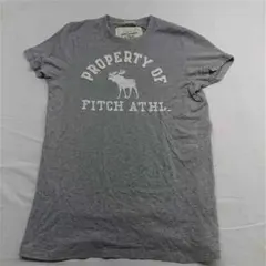 ?アバクロンビー＆フィッチ グレー系ロゴTシャツ メンズ M
