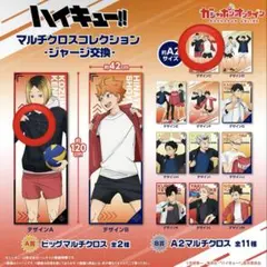 ハイキュー！! マルチクロスコレクション　ジャージ交換 2点セット