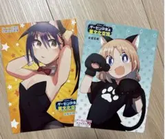 ゲーセン少女と異文化交流 リーフレット 特典 メロンブックス ゲーマーズ限定