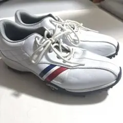 Item thumbnail for item 425857c2-b416-4e80-8513-d69c9ca2a559