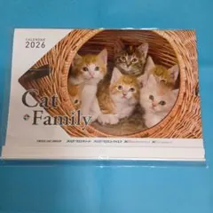 CACAO CAT❣️2026年 　　　　　　　カレンダー＆カップ 2026年最新】cacao cat カレンダーの人気アイテム - メルカリ