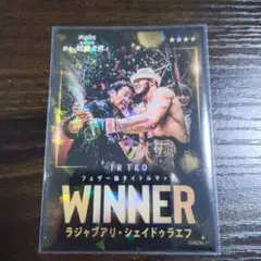 専用RIZINラジャブアリ・シェイドゥラエフ ライコレリアルカード