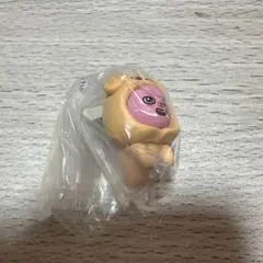 StrayKids スキズ SKZOO ガチャ トゥエッキ　カニカン