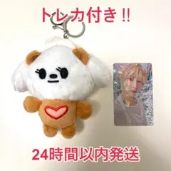 トレカ付き TXT バムグッ ボムギュ プルバトゥキーリング SANCTUARY