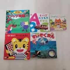 Item thumbnail for item a3af1da8-f8f8-45ed-8ff8-d2b13c2d1616