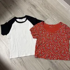 ユニクロ　コラボ　ポール&ジョー　Tシャツ