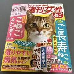 Item thumbnail for item 26feaec9-0286-463f-a187-08c7fc33faa4