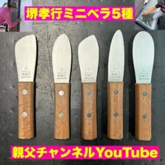 堺 孝行 グランドシェフ マイカルタ グリーン 牛刀210mm - メルカリ
