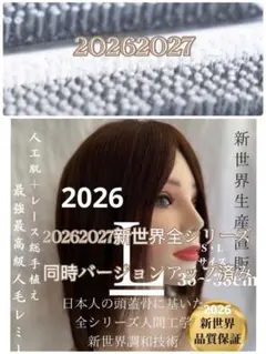 2026新世界　人毛　ウィッグ　フルウィッグ　シルクスキン　医療ウィッグ　レミー
