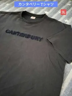 カンタベリー　Tシャツ　3L