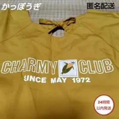 かっぽうぎ　ゆったりサイズ　割烹着のサムネイル