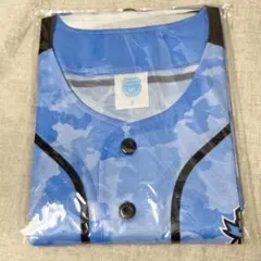 Item thumbnail for item b929acf8-7e85-4143-9569-a17f42dda443