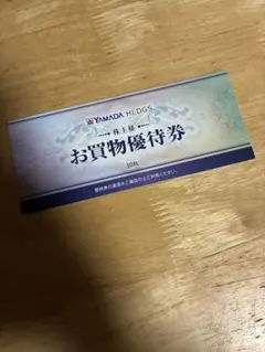 ヤマダ電機YAMADA HLDGS. お買物優待券 10枚セット　株主優待