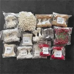 ルイパパさん苗 白珠 自家 札付き 鉢ごと発送 - メルカリ
