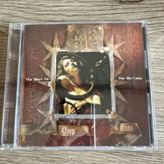 【激レア！プロモ盤】MR.BIG/Take Cover 激レア！プロモ盤】MR.BIG/Take Cover