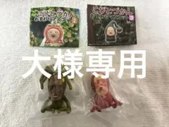 こびとづかんおすわりマスコット2バイブスマダラ 、ノミビョウタン2個セット