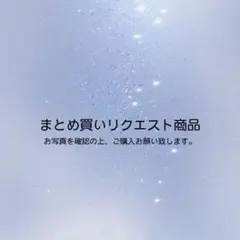 Cちゃん様 リクエスト 5点 まとめ商品