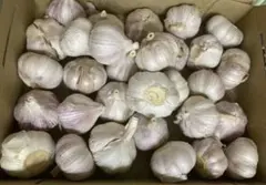 530.お買得生にんにく箱込み1kg玉数お任せのサムネイル