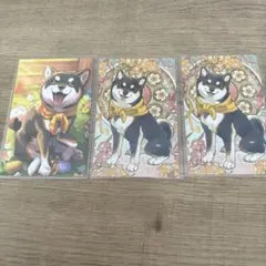 ノスタルジアコレクション カード 黒井しば