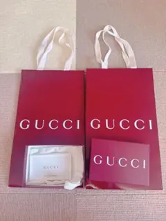 GUCCI ギフトボックス、ショッパー2セット