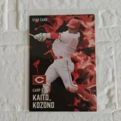 ⭐️本人写真⭐️広島カープ矢野雅哉小園海斗直筆サイン色紙セット2025沖縄キャンプ ⭐️本人写真⭐️広島カープ矢野雅哉小園海斗直筆サイン色紙