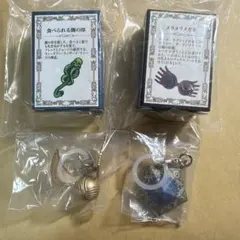 ハリーポッター　めじるしアクセサリー　４個セット