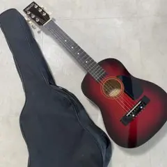STARGAZER アコースティックミニギター レッド