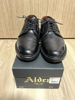 2025年最新】AlDEN 9901の人気アイテム - メルカリ