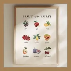 P503アートポスター ミッドセンチュリー インテリア モダン フルーツ