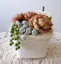 ❤️専用❤️多肉植物❤️そのまま飾れる寄せ植え❤️ハートうさぎ