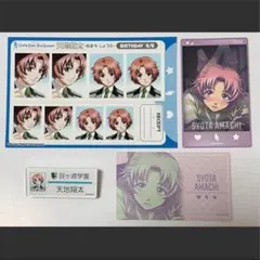 ときメモGS 天地翔太 生徒証明書 ときメモGS2 - メルカリ