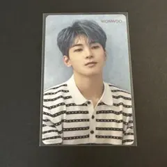 SEVENTEEN 舞い落ちる花びら HMV 特典 ウォヌ トレカ 舞花トレカ