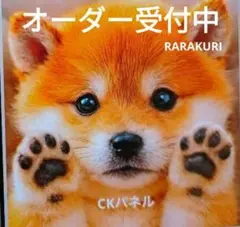 ヨーキー・ダックス・チワワ・パグ・マルチーズ・柴犬・トイプーパネル 