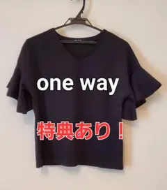 Item thumbnail for item 88705838-9c3b-4010-852c-ecbcceb2f891