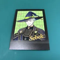 ツイステッドワンダーランド セベク・ジグボルト