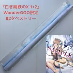 新品未開封】B2タペストリー2種 ラヴアールキス ワンダーグー限定