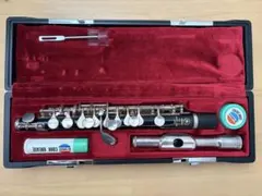 Item thumbnail for item 9581fb9e-63be-4408-ae02-80386efdfad8