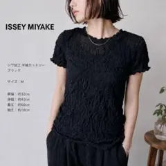 ISSEY MIYAKE イッセイミヤケ シワ加工 半袖カットソー ブラックのサムネイル
