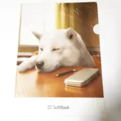 SoftBank お父さん クリアファイル 居眠り