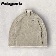【パタゴニア】ベターセーター　ハーフジップフリース　ライトグレー　XL 17年d