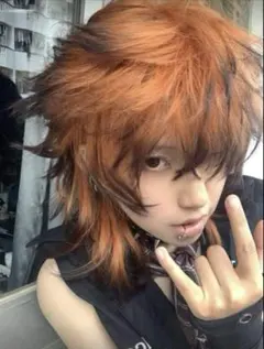 2025年最新】ウィッグ ズートピア ニックの人気アイテム - メルカリ