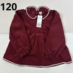 Item thumbnail for item 321cf5ab-4393-441c-b01e-9ee88390000a