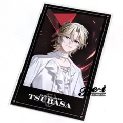 Element Sicks SAVE EL6 ツバサ ペンライトシート - メルカリ