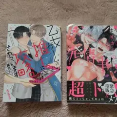 ボーイズラブ漫画2冊セット