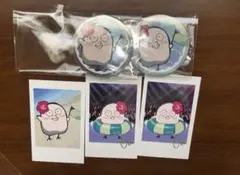 Crazy Raccoon ランダム缶バッジ チェキ風カード obo