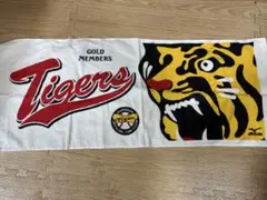 Item thumbnail for item 0f75c748-704e-4c8a-9823-a858eac82b53