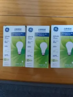 GE インスタントオン 100W相当 3個セット