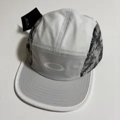 Item thumbnail for item 66d822c0-72b6-49b9-8f69-08954acda946